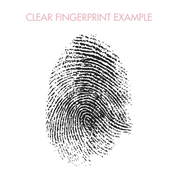 STAR CORN CHAIN NECKLACE