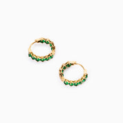 POP OF GREEN BUNDLE