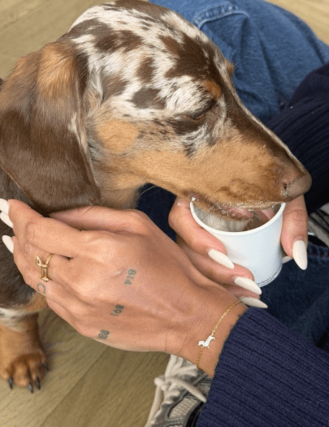 THE SLINKY BRACELET best gold plated tarnish and water resistant piece by Irish Jewellery brand - Lynott Jewellery