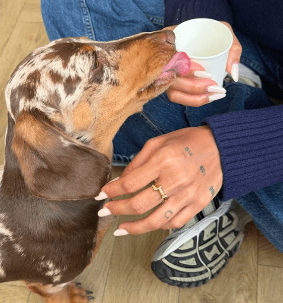 THE SLINKY ADJUSTABLE RING best gold plated tarnish and water resistant piece by Irish Jewellery brand - Lynott Jewellery