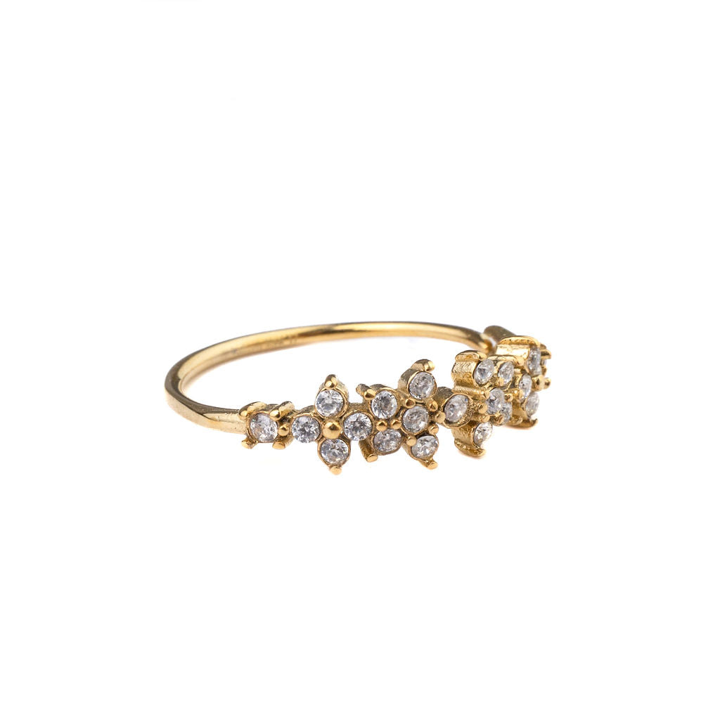 GoldringDiamondclusters-7.jpg