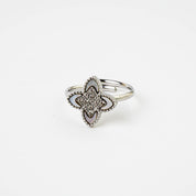 PASSIONATE RING WHITE AND GOLD - Lynott Jewellery